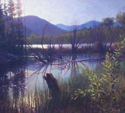 thumbs/Refl_in_the_Beaverpond.jpg