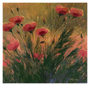 thumbs/poppies.jpg
